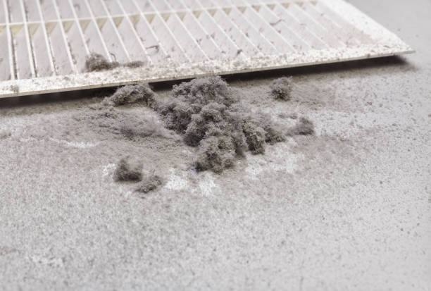 Best Affordable HVAC Duct Cleaning  in Lan, MI