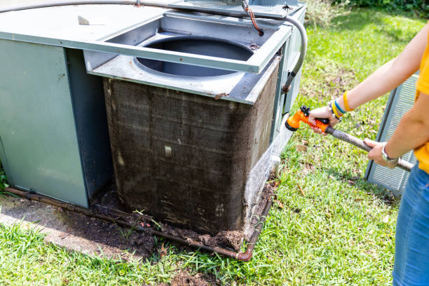 Air Duct Mold Removal in MI
