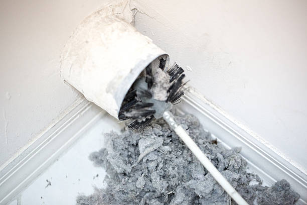 Best Ventilation Cleaning Services  in Lan, MI