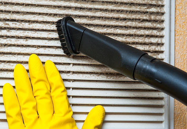 Best Best Air Duct Cleaning Company  in Lan, MI