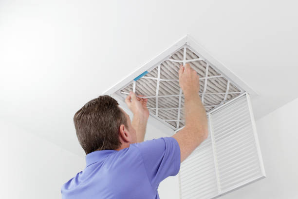 Best Affordable Duct Cleaning Services  in Lan, MI
